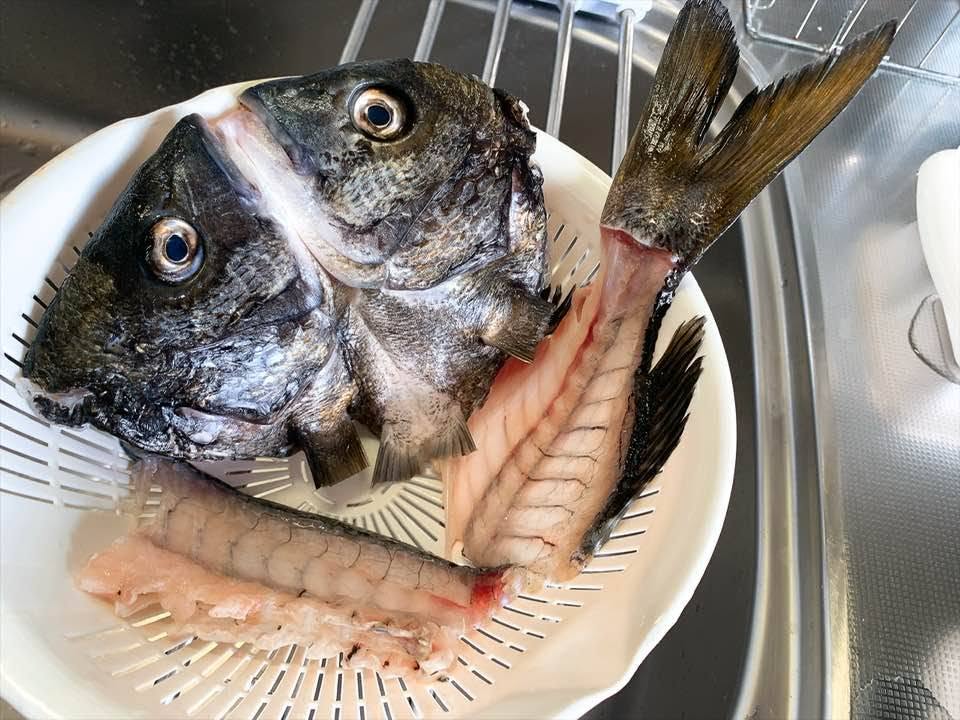 ken_chan0722's tweet photo. 【チヌのアラで作った潮汁は食えるか？】
 「チヌは臭い」という先入観があって、身は食べてもアラは無条件に捨ててたけど、暇つぶしに（？）実験してみた。 
結果…全然いけたわ👍
ちゃんと熱湯で霜降りして臭み抜いてから調理したけどね。
#釣り魚料理
#潮汁 
#うしお汁 
#チヌ 
#黒鯛 https://t.co/5Tfy2fUCIx