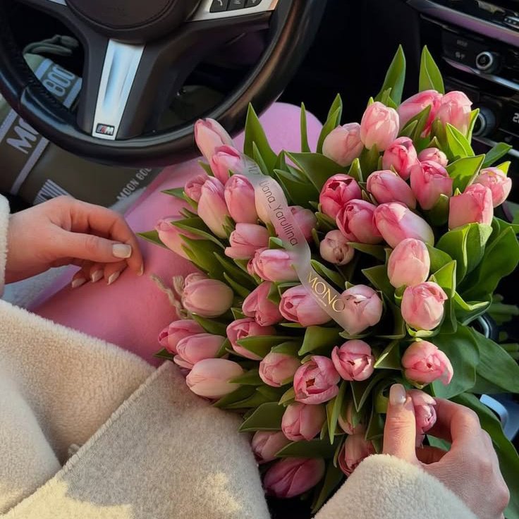Flowersidmb's tweet photo. https://t.co/lY25XIphjG