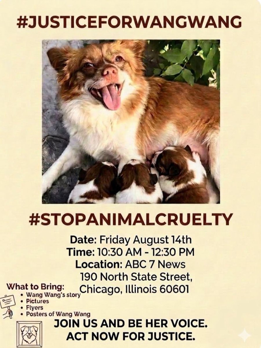 DerDoppelganger's tweet photo. 🚨 URGENT! WE NEED MORE PEOPLE! PLEASE REPOST! 

🚨We are running out of time and we still don't have enough people!

Please take 1 second to REPOST ⇄ this right now! Many people still don’t know about this.

📸 Check the images below:

1️⃣ Image 1: Global Demonstration Schedule (MUST SHARE!)

2️⃣ Image 2: LATEST UPDATE for the USA Rallies🇺🇸

Please spread the word and help us save them! 🐾🐾

#JusticeForWangWang #StopAnimalCruelty #AnimalRights #UrgentRepost￼