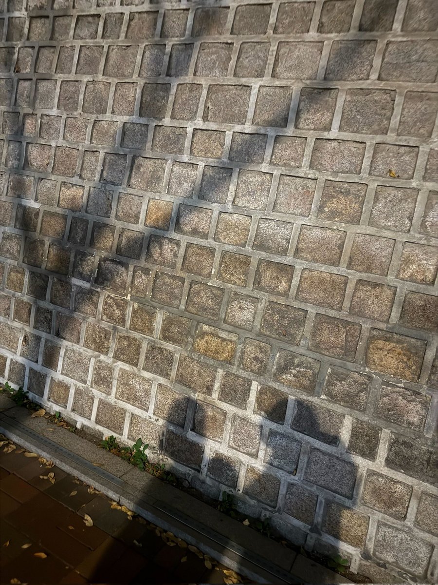 0_3Sungh0's tweet photo. 명냥즈 데뷔 전에도 재현이 입사한지 얼마 안됐을 때 둘이 여권 때문에 강남구청 갈 일이 있었는데 버스 간격이 길어서 둘이 정류장에 앉아서 깊은 이야기 나눴다는 이야기도 그렇고
둘이서 자전거 타러 한강에 가기도 하고 덕수궁 돌담길에서 이야기 나누기도 하고 밤바다 바라보면서 진대하고 목격담도 부산 밤바다인걸 보면 둘이 낭만을 찾는 모습이 비슷한거 같아서 마음이 좋다 .. ⸝⸝o̴̶̷̥᷅  ̫ o̴̶̷̥᷅⸝⸝