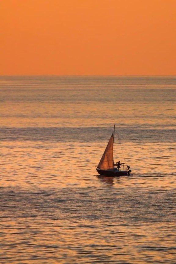 _Naturaee's tweet photo. Sunset therapy https://t.co/fZOumJwN3q