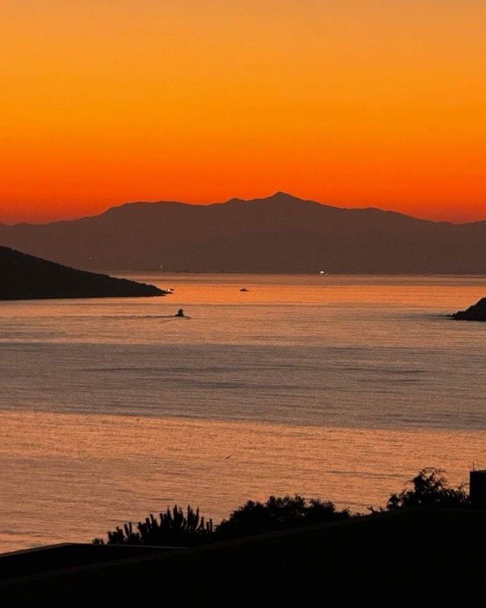 _Naturaee's tweet photo. Sunset therapy https://t.co/fZOumJwN3q