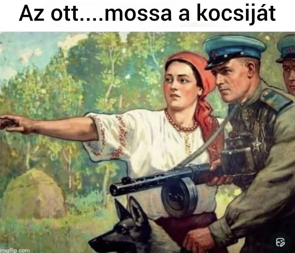 CsifoNagySandor's tweet photo. Jön https://t.co/Q2b1KdkRV4