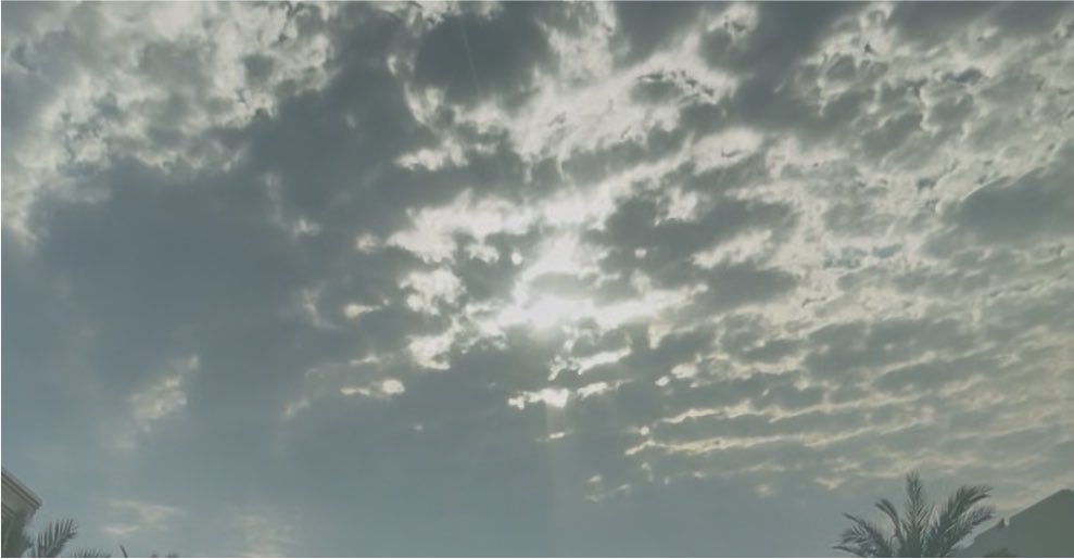 AM46__'s tweet photo. فيك غيم من السماء الدنيا دنا
و استقر بـ وجنتك لين استراح 

- طالما وجهك يصبّحني فـ أنا:
"سارق البهجة من إيدين الصباح"
- فارس فايح https://t.co/asTqplEo4A