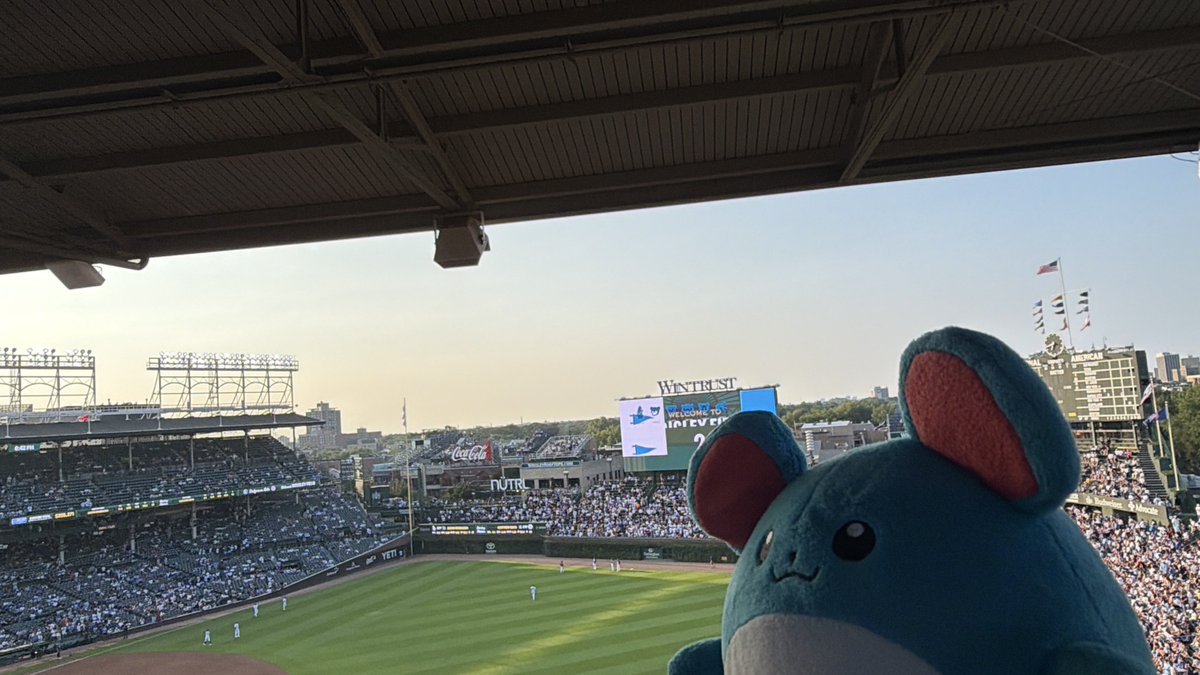 aoboushi0801's tweet photo. はじめてのメジャーリーグ観戦⚾️ https://t.co/pDOF1ZXLoQ