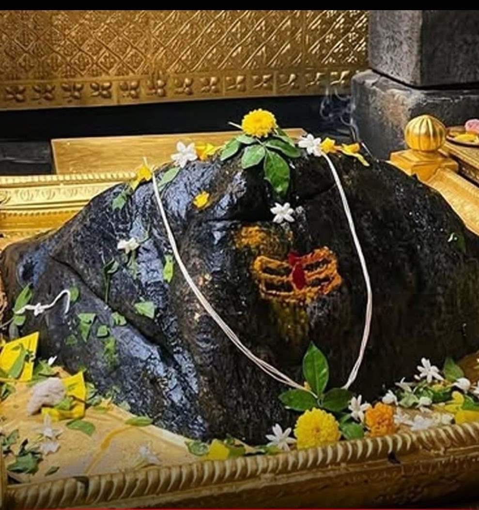 kumar_nan2's tweet photo. Jai Baba Kedarnath 🪔 https://t.co/vQpUFXxvQe