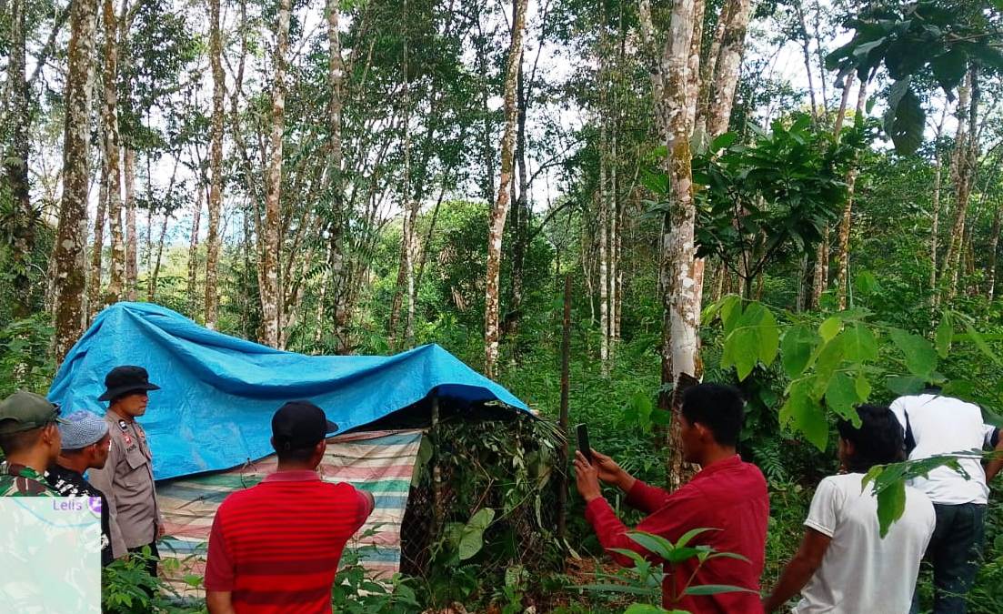 polresatim's tweet photo. Personel Polsubsektor Lokop Bantu Evakuasi Harimau Sumatera yang Terjerat Box Trap

Petugas juga mengimbau masyarakat agar tidak mendekati lokasi perangkap demi menjaga keselamatan warga.
@DivHumas_Polri 
@bidhumasaceh 
https://t.co/gv8eQsZXdX https://t.co/7XzPg163iS