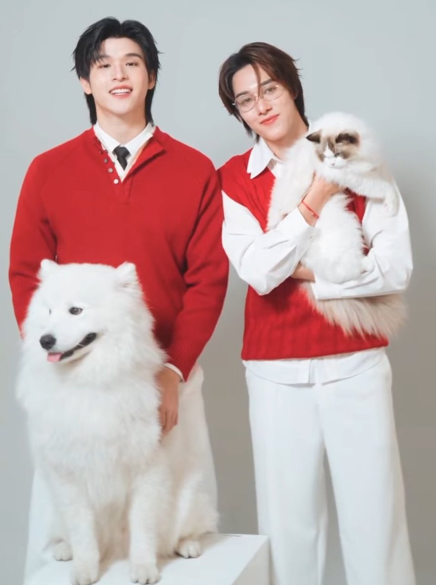 softforg4's tweet photo. this frame is so domestic : ((❣️ https://t.co/LzDPpAei1j