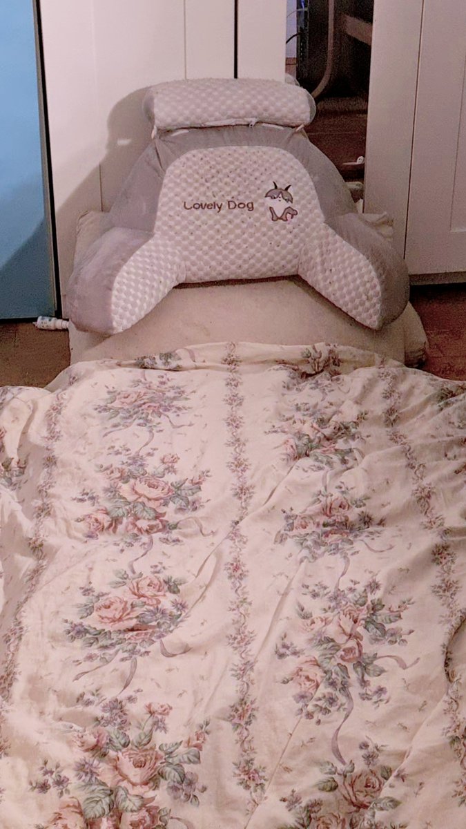Soulbat32's tweet photo. Reminder that "Promortion services" Crypto scammers &amp; Co are not welcome.  I am not your target.  I do not have anything to give but myself.

I am literally sleeping on the floor.⬇️

If you genuinely want to support me, please do it via Throne or Paypal. (Link soon) https://t.co/DYEcF1Y23B