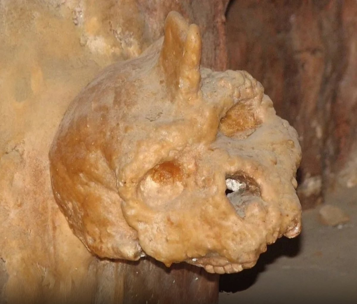 archeohistories's tweet photo. A mysterious 300,000-year-old skull discovered over 60 years ago may have been finally identified. Originally found attached to a wall in Petralona Cave in northern Greece in 1960, the Petralona skull has baffled scientists for long who could not identify its origins. Now, after using a precision technique called uranium-thorium dating, scientists claim that the skull might belong to a primitive, extinct hominid that lived alongside the Neanderthals.

Once thought to be between 170,000 and 700,000 years old, the uranium-series analysis of the calcite coating on the skull found it to be at least 286,000 years old. The findings align with previous research suggesting that the individual may have lived in Europe alongside Neanderthals, but was part of the Homo heidelbergensis group, which is distinct from both Homo sapiens and Neanderthals.

This group lived between 300,000 and 600,000 years ago, evolving in Africa, with some populations migrating to Europe 500,000 years ago.

"From a morphological point of view the Petralona hominin forms part of a distinct and more primitive group than Homo sapiens and Neanderthals, and the new age estimate provides further support for the coexistence of this population alongside the evolving Neanderthal lineage in the later Middle Pleistocene of Europe," the study published in Journal of Human Evolution highlighted.

According to a report in New York Post, the European population of Homo heidelbergensis evolved into Neanderthals, while the African populace may have been the predecessors of modern humans. The Petralona Cave, where the skull was found, is located in Chalkidiki, about 50 km from the city of Thessaloniki, Greece. The cave was developed in the Upper Jurassic limestone of Mount Katsika where an important horizontal karstic network runs for several hundred meters.

The difference between other sites and Petralona is that the skull had been fused to the wall by a gradual accretion of calcite – a stalagmite protruding, unicorn-like, from its forehead. After analysing the fossil's size and robustness, scientists believe that the individual was male, hence the moniker "Petralona man".

The Greek cranium also bears striking similarities to a skull found in a cave in Kabwe, Zambia. The Kabwe skull has been dated to around 300,000 years ago, and is now generally classified as Homo heidelbergensis.

According to one Reddit post; ancient Sumerian tablets at just under 6,000 years old are the oldest known writings found so far in human history. Tell us a race of space traveling giants called the Anunnaki created multiple other  human species prior to creating us at 300k years ago. Matching modern science who has found that there were 21 different species of human. 8 of them lived alongside us until 40k years ago when they all mysteriously vanished. The skull was discovered in Apidima Cave system in southern Greece, a site that has become one of the most important locations for studying early humans in Europe. Researchers have analyzed fossil fragments from the cave using modern imaging techniques and advanced dating methods. One of the specimens, known as Apidima 2, shows characteristics associated with Neanderthals and dates to roughly 170,000 years ago. Another specimen, Apidima 1, is considerably older and has generated significant debate among scientists.

#archaeohistories