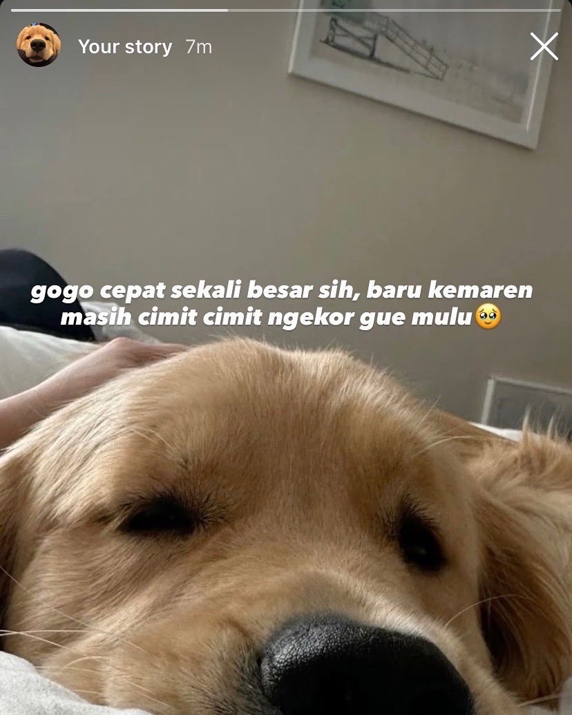 ngetikdarirumah's tweet photo. 045. https://t.co/xmFx2Uj1wi
