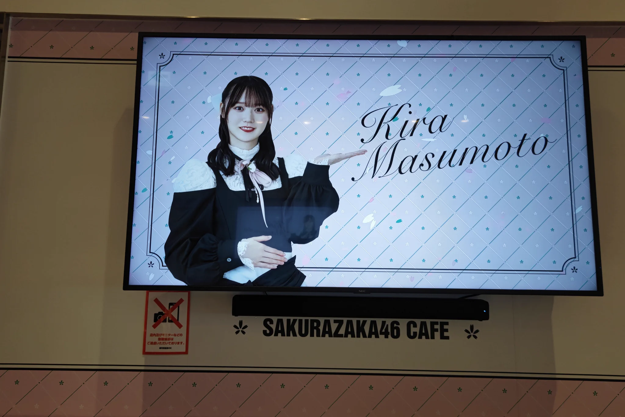 櫻坂46 on X: 