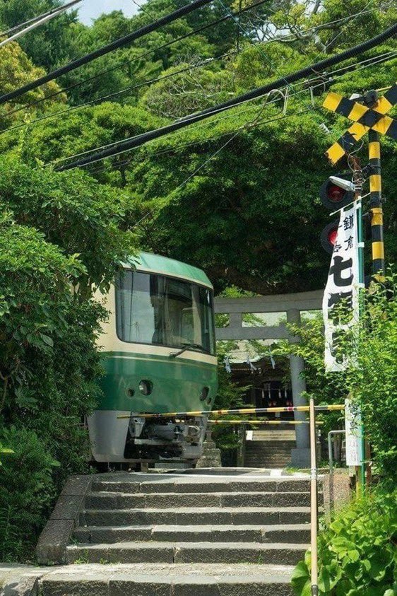 _daisybella's tweet photo. Japan https://t.co/zEcSKWGqmq