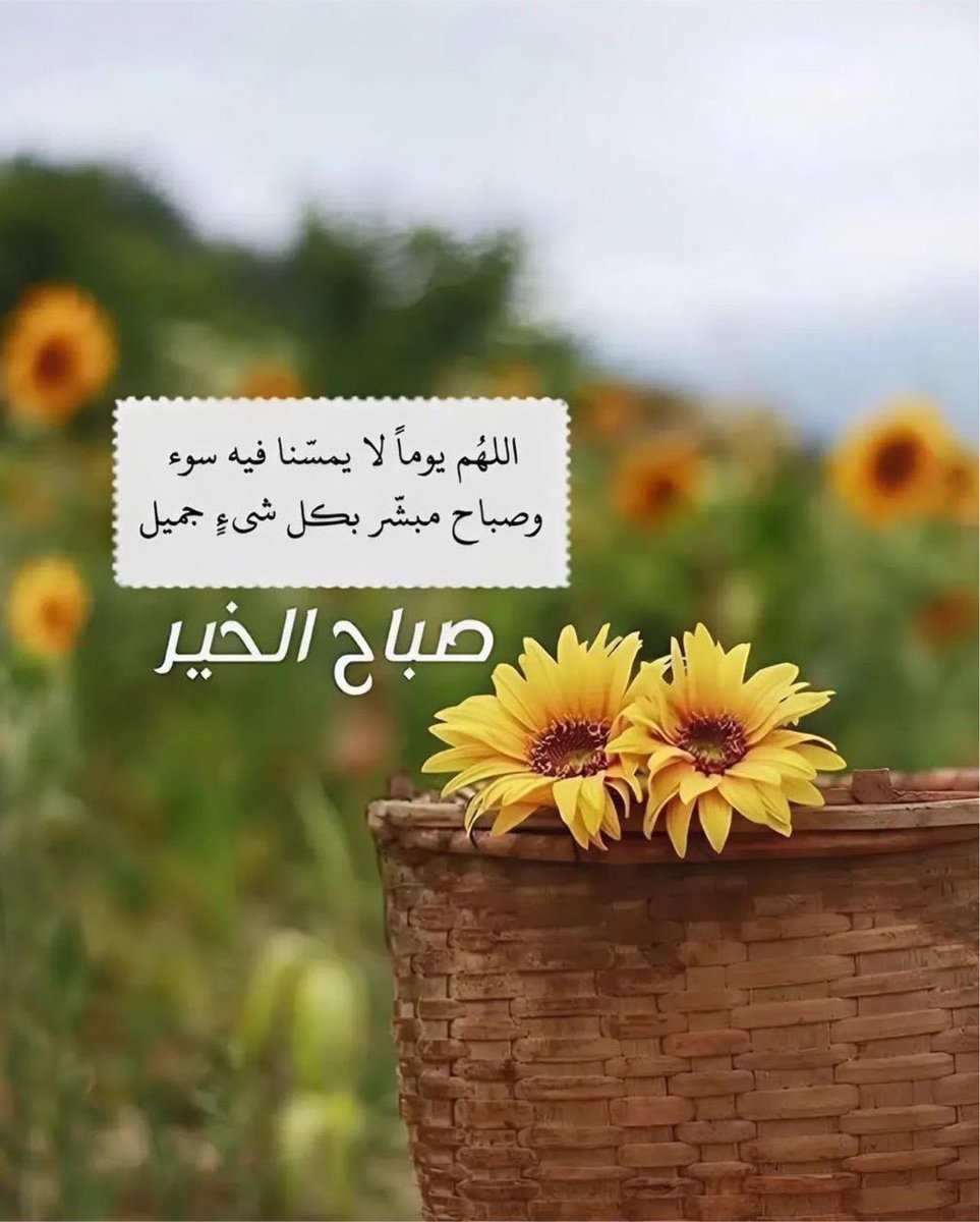 د: عفراء حشر مانع آل مكتوم tweet media