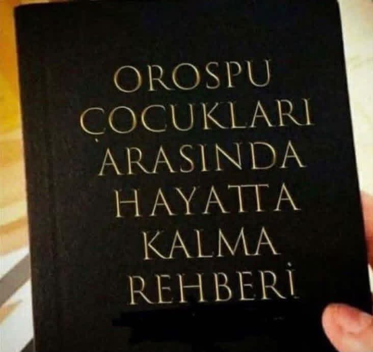 duygusuzfistik_'s tweet photo. yazarla bağlantılarım var https://t.co/mNZ8NOtTNA
