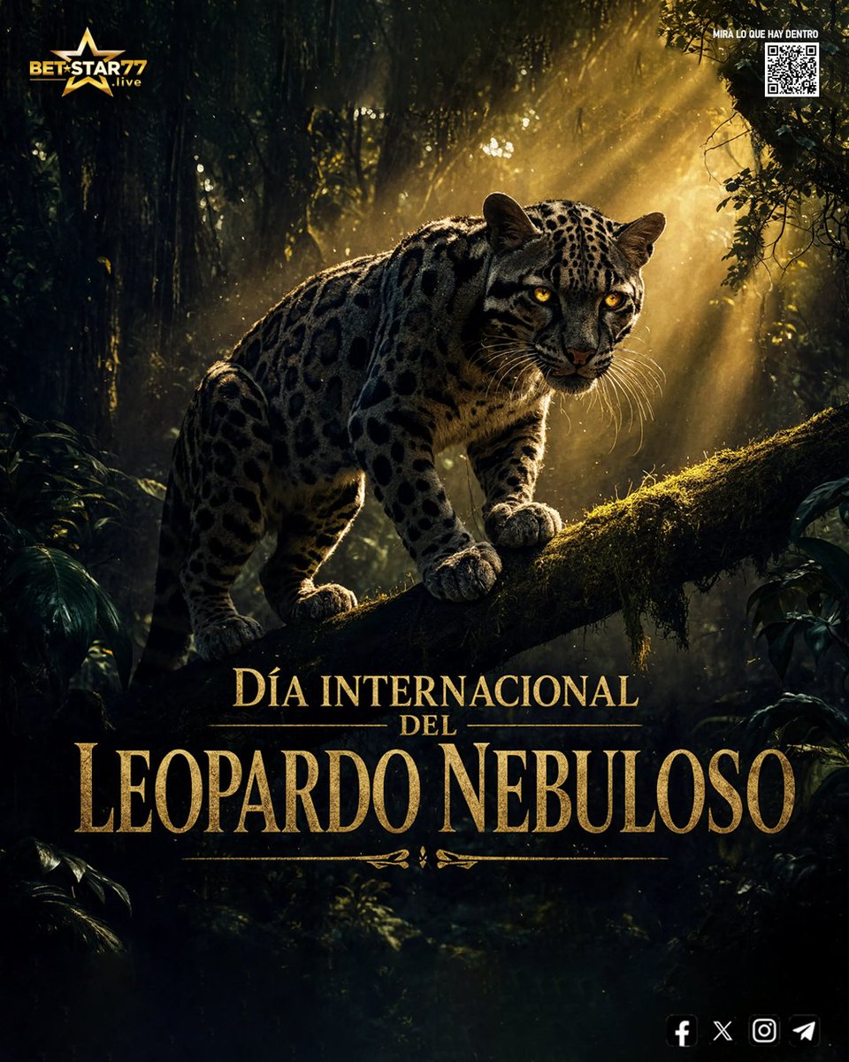 betstar77's tweet photo. ¡Instinto felino activado! 🐆⚡ En el #CloudedLeopardDay, saca tu lado ágil en #Betstar77. Analiza cuotas, caza tus oportunidades y gana en grande. 🇪🇨✨🏆 https://t.co/WyJiBE0RNy