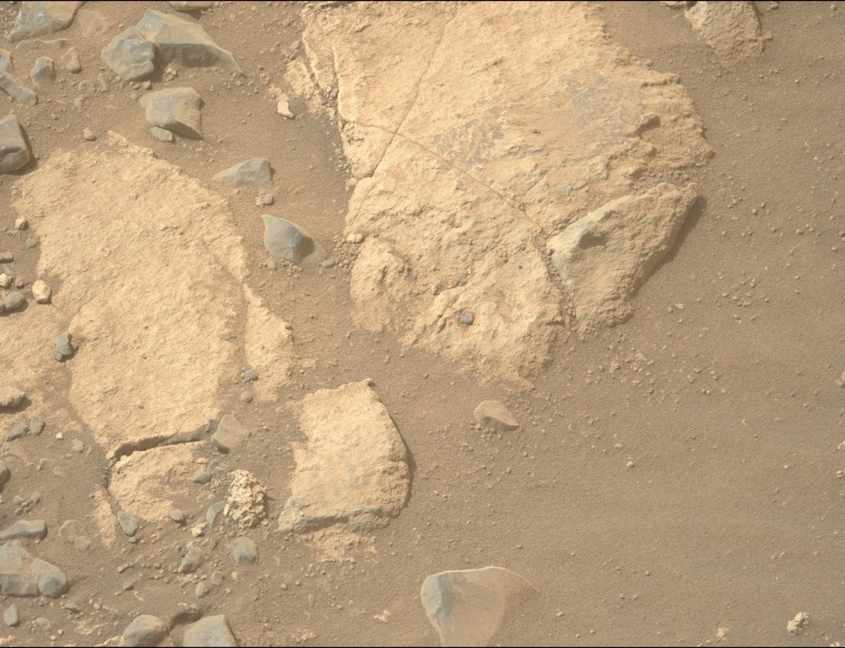 cb_doge's tweet photo. These pictures were taken on Mars this week. https://t.co/DVBoHJvgMc