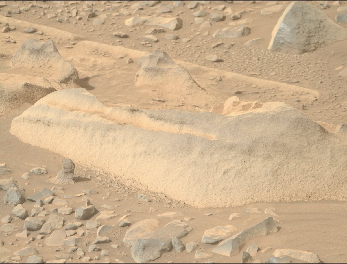cb_doge's tweet photo. These pictures were taken on Mars this week. https://t.co/DVBoHJvgMc