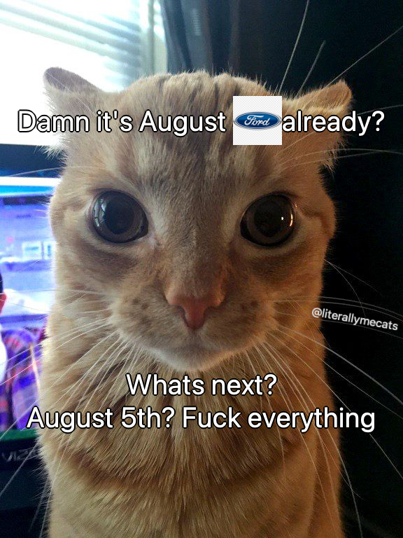 literallymecats's tweet photo. https://t.co/B82nXPdv12