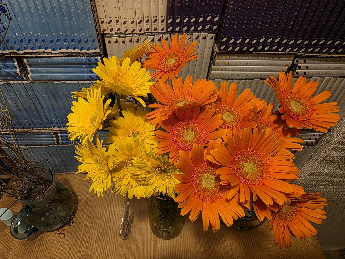 otukare0804's tweet photo. あおまる🍊
なつみん🌻
おめでとう🎉 https://t.co/S8ICBm71p3