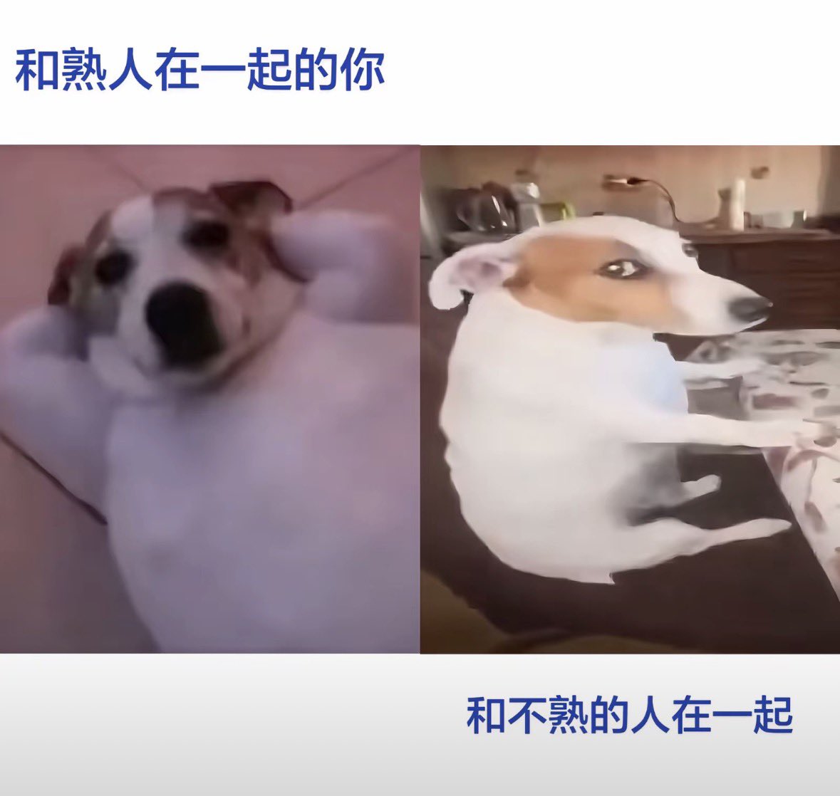 Musichen3abw's tweet photo. 我就这样 https://t.co/qeWQkRjDZ6