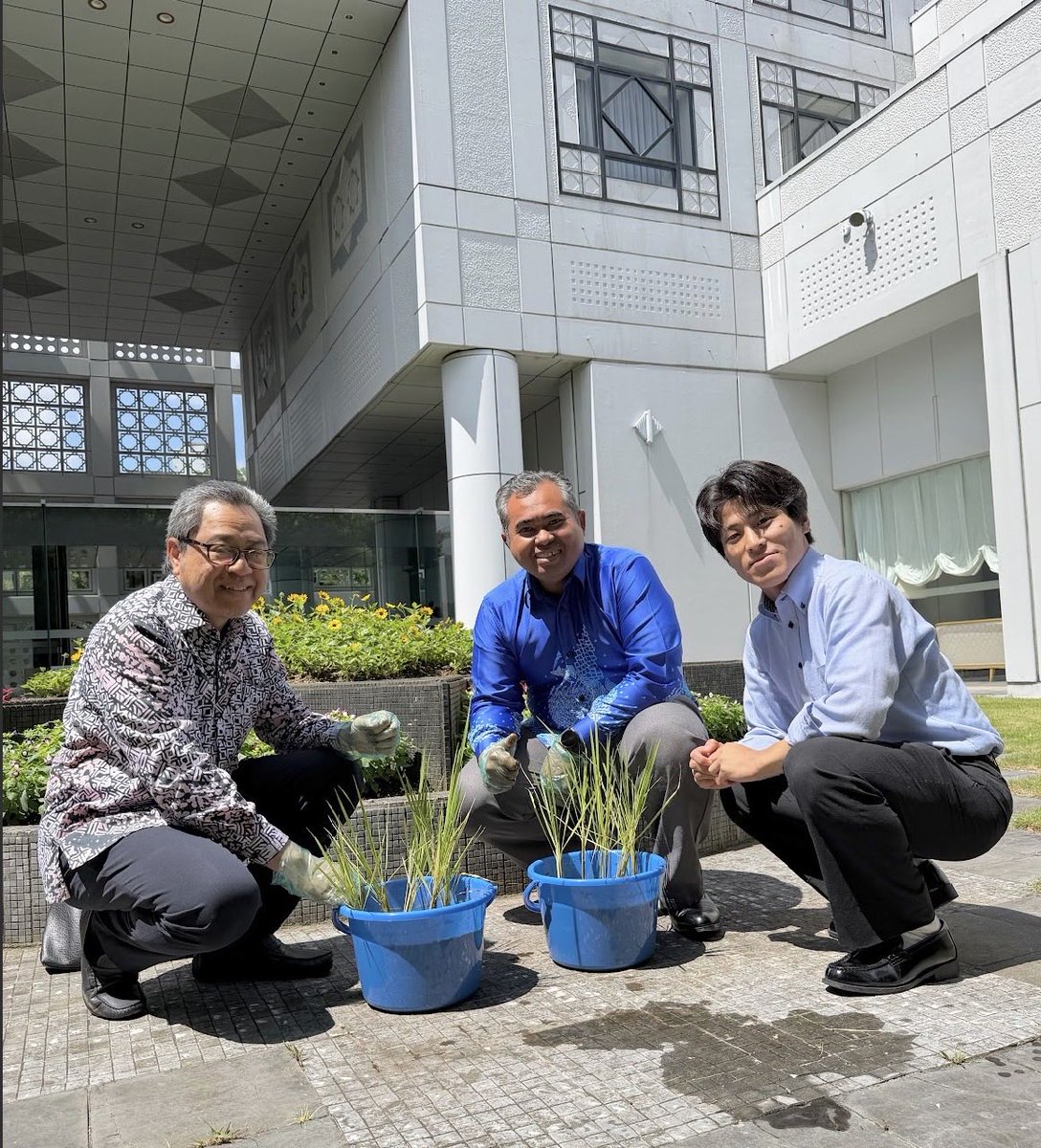 rozianghani's tweet photo. Participated in “100 Million People Growing Rice: Hello! Embassy World Peace Project" by FUJISAN Chidama Festa. Planted seedlings rice paddies symbolising 🇲🇾’s commitment to sustainability, food security &amp; humanitarian assistance. Look fwd to harvesting 🌾 in Oct
@MYEmbassyJapan https://t.co/ddVtP1A0Lf