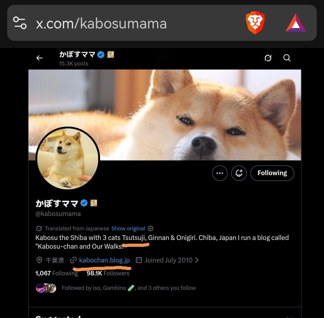 ANSEMLINED's tweet photo. Ehy @PoorGoat_ it's time to pump the right cat now. solana:5Qw2N95VVx4jPxH2Di8ZNihr5fFW64yro5Qi2mEbMmqo came first. It's the first cat adopted by @kabosumama and this is the first created 2 years ago with the fees directed to they're foundation. This lore deserve millions https://t.co/vB2CpvRd8z