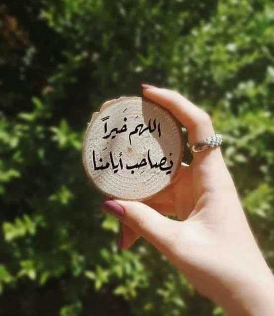 hoodaamer2024's tweet photo. 🌿 ابدأ يومك بقلب مطمئن، فالله يُدبّر الأمور بأفضل مما نتخيل. #صباح_الخير https://t.co/qda3YPTbFd