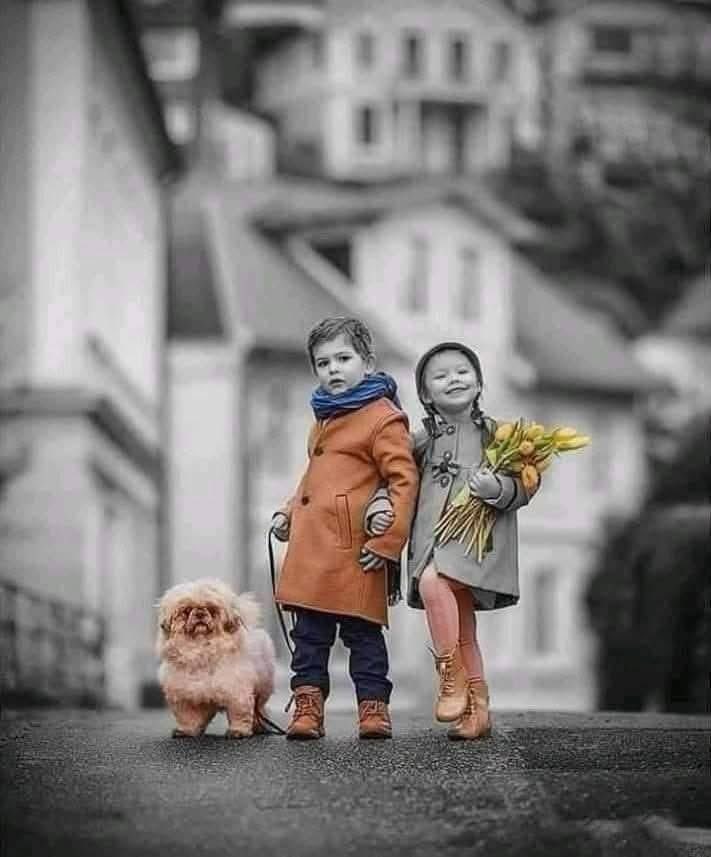 11199_aaaa's tweet photo. ليتنا نملك زرالرجوع في أيامنا نعيد لحظة فاتت

أوإحساسًا ضاع أوضحكة خرجت من القلب بلاحساب ولوكان الزمن يطاوعنا لأوقفناه عندما أحببنا حيث لاكبر ولاثقل التجارب ولادروس تؤخذ على حساب الروح

نود لونبقى كما كنا أنقياء خفيفي القلب بلا قسوة تعلمناها نبحث عن فرحنا القديم بين تفاصيل الحياة https://t.co/G3ip5hdwyV