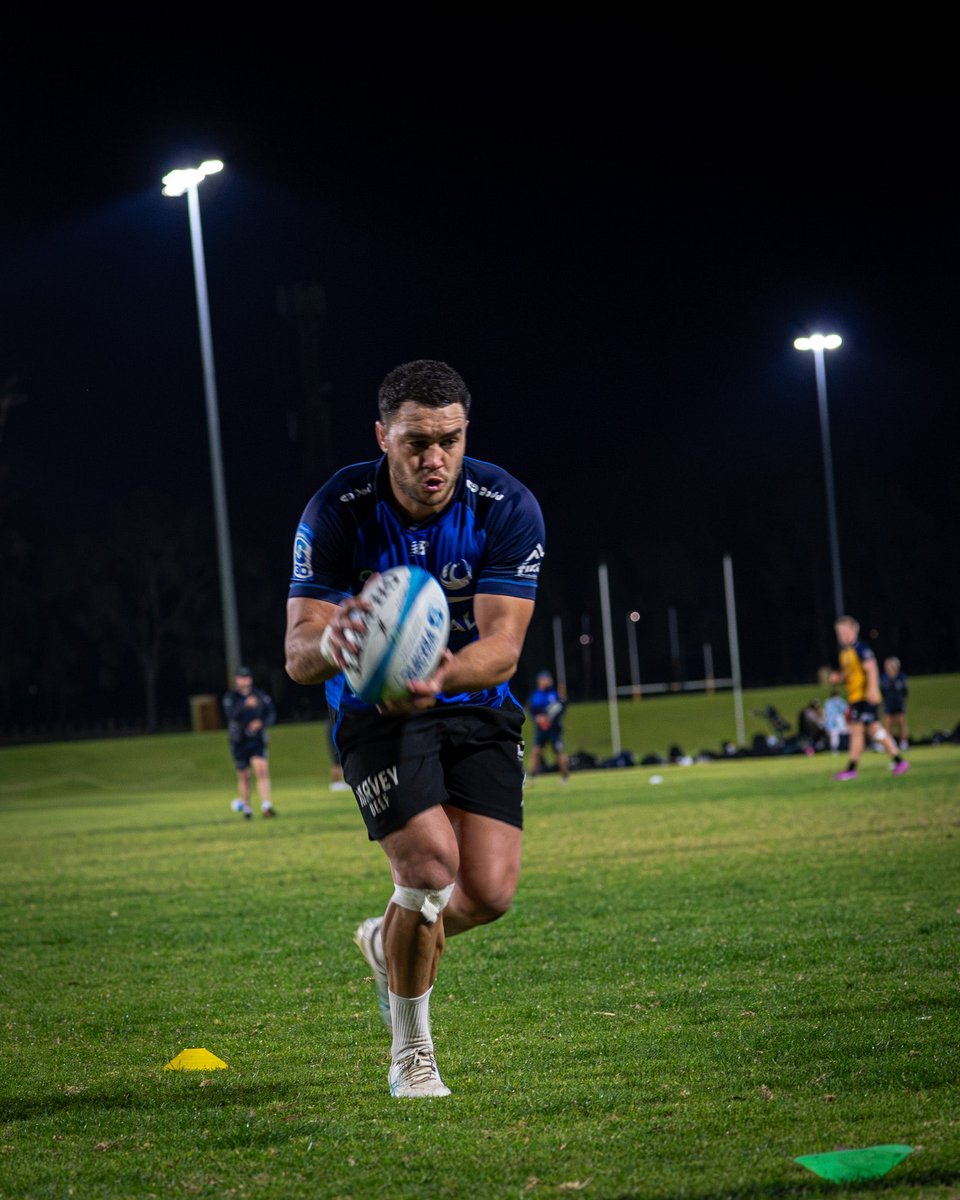 westernforce's tweet photo. Super Rugby Aus preparation underway 🚧
#FirstSession
#StrongerTogether
#SeaOfBlue https://t.co/ni3E0TVb6W