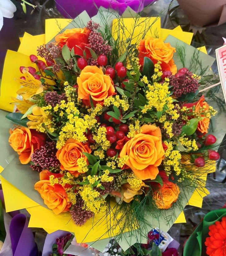 DailyVibesx1's tweet photo. #FlowerPhotography 
#FlowersOnX https://t.co/LK6iPREhA2