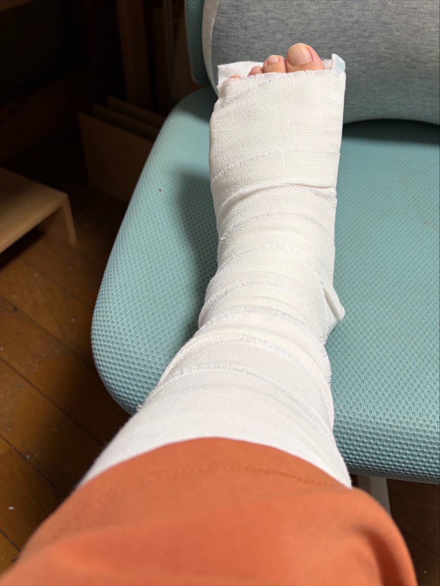 tsukue_d's tweet photo. うお〜やるぞ〜と思った矢先に走って転んで捻挫したり祖母が亡くなったりしており、タイミング https://t.co/TbGxQePicA