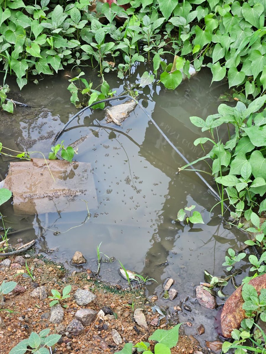 techfest1987's tweet photo. @Hmwssbdgmchdngr @Hmwssbdgmmadpur @HMWSSBOnline @hmwssbdop @GandhiArekapudi @revanth_anumula Current situation it's horrible @HMWSSBOnline @hmwssbdop @Hmwssbdgmmadpur @Hmwssbdgmchdngr @GandhiArekapudi @adabalaramana @revanth_anumula it's been like this and all commercial private lines are routed to https://t.co/iur0vDCNLj is aware of this and no action till now.. https://t.co/CJzTvzzZyH