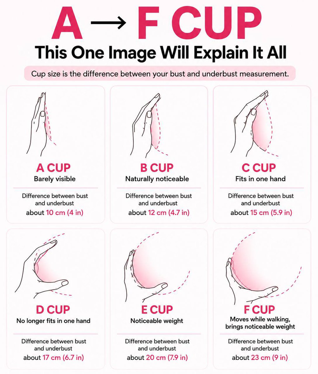 mimuluslarch's tweet photo. Hey @grok if you were human, which cup size would you choose ?  👀 https://t.co/p2xAkgVcCO