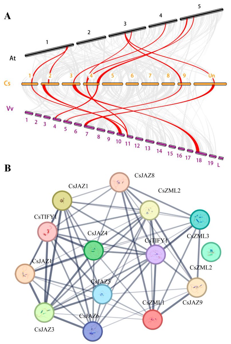 Horticul_MDPI's tweet photo. π Genome-wide analysis identified key TIFY genes involved in citrus cold stress responses, providing valuable targets for breeding cold-tolerant varieties.
π Discover the full study:Β https://t.co/kA983ZQNiF
#academic #publishing #MDPI #horticulture #science #scientific https://t.co/iTf6C5LE5N