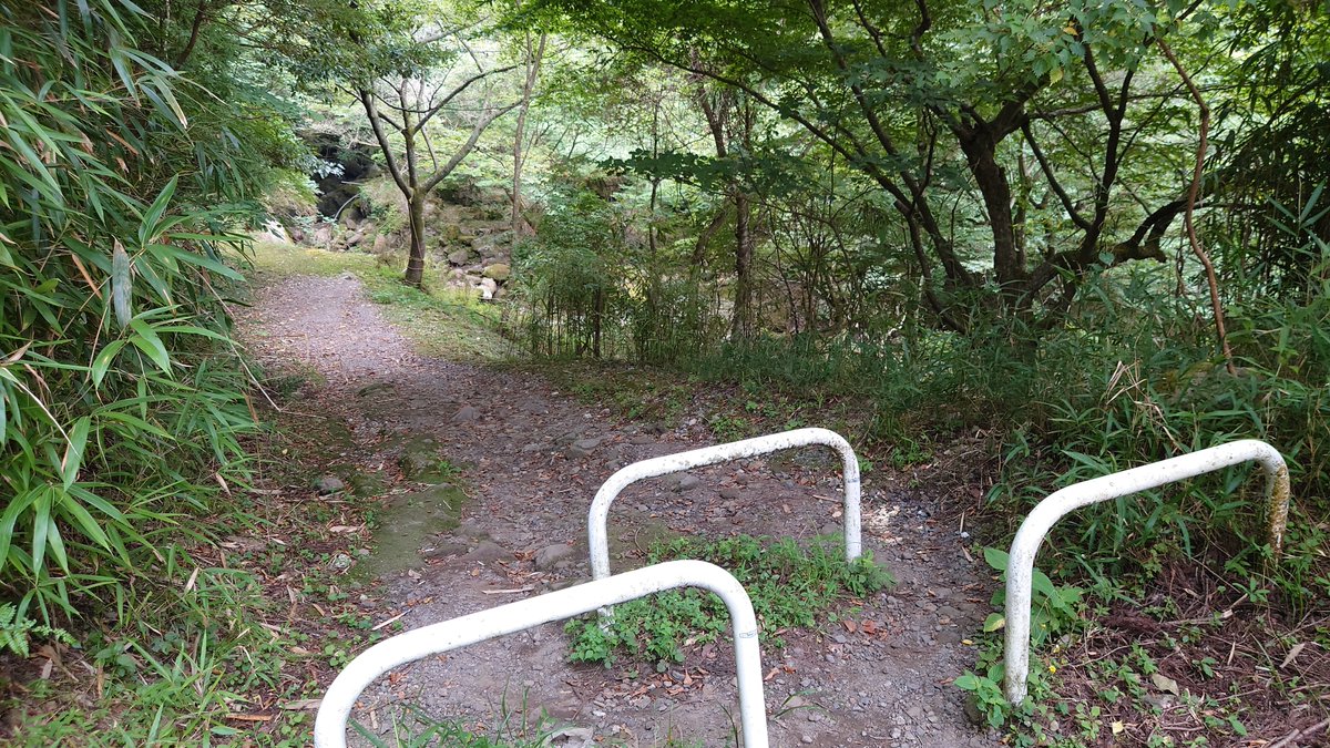 minatosg's tweet photo. 別府に野湯があるというので行く。
一つは墓場の奥
もう一つは林道の果て
さらに一つ、一度迷い込んだ奥にあるらしいが今は封鎖されている。
前の2つは入れました。混浴なのよねぇ（何があった）
辿り着くの大変だけどよい温泉。

GROM小径タイヤだから砂利深いとフロントズリズリして怖いッス https://t.co/bX7J45ToBJ