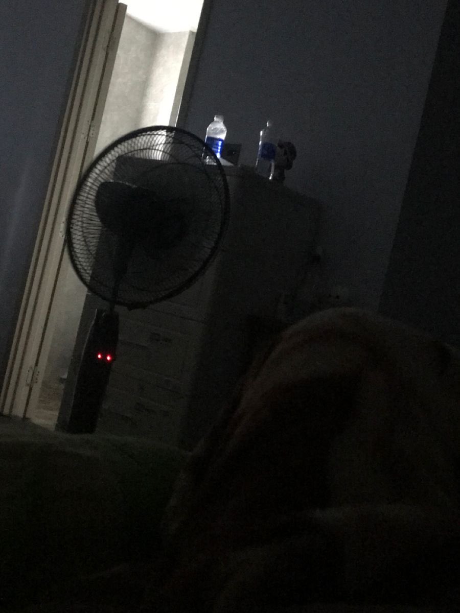 Meothiccanh's tweet photo. bme ngủ roi móc buomm voi em nha 🥵 #moc https://t.co/4kJbCoqs9A