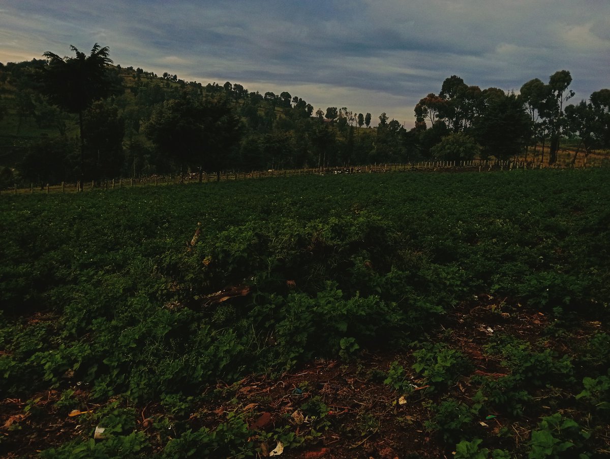filipelouta's tweet photo. 🌞 Good morning from Cheparten Village, Lelan, West Pokot County. 🇰🇪

A new day, a fresh opportunity to work hard, stay grateful, and keep moving forward. Wishing everyone a peaceful, productive, and blessed Tuesday. 💚

#GoodMorning #WestPokot #Kenya https://t.co/whU1pWYBq7