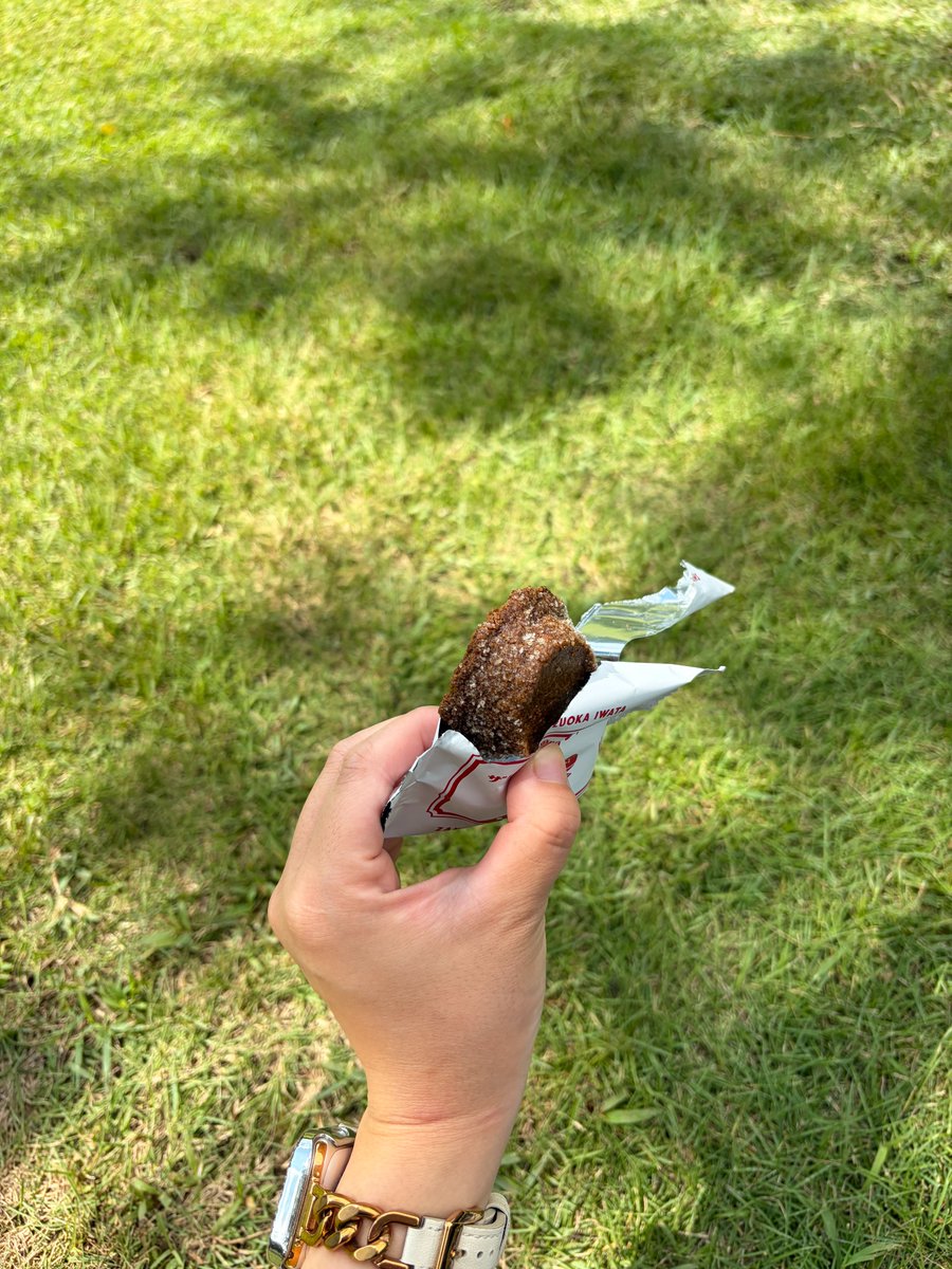 Isshiki_design's tweet photo. オフィスが新宿御苑の目の前という特権を活用して、今日はピクニックランチをしてきました🧺✨

今朝社長からもらったクッキーをかじりつつ、ありんこと戯れました🐜🍪 https://t.co/e0uyktEgSD