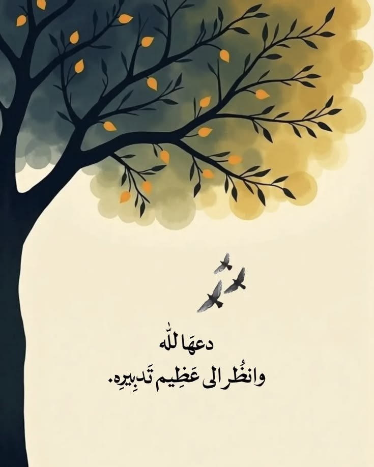 motm2na_'s tweet photo. دعها لله🧡.. https://t.co/WPRCsBZSvS