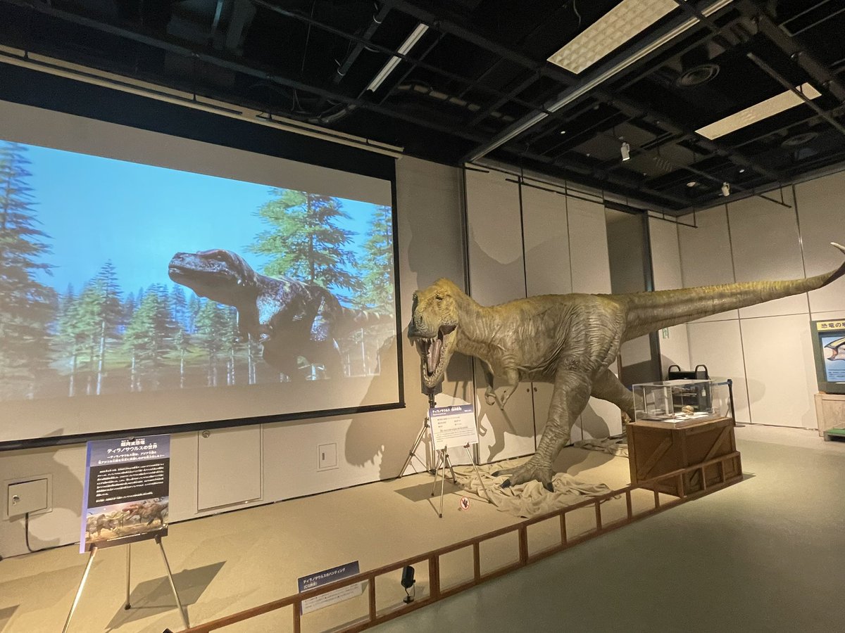 bleachlink2552's tweet photo. 青少年科学館
ティラノサウルス展！
親戚の様な種類も展示ありました〜
シアターもあって多少長居しちゃう
#ティラノサウルス https://t.co/dQIcl5tMCv