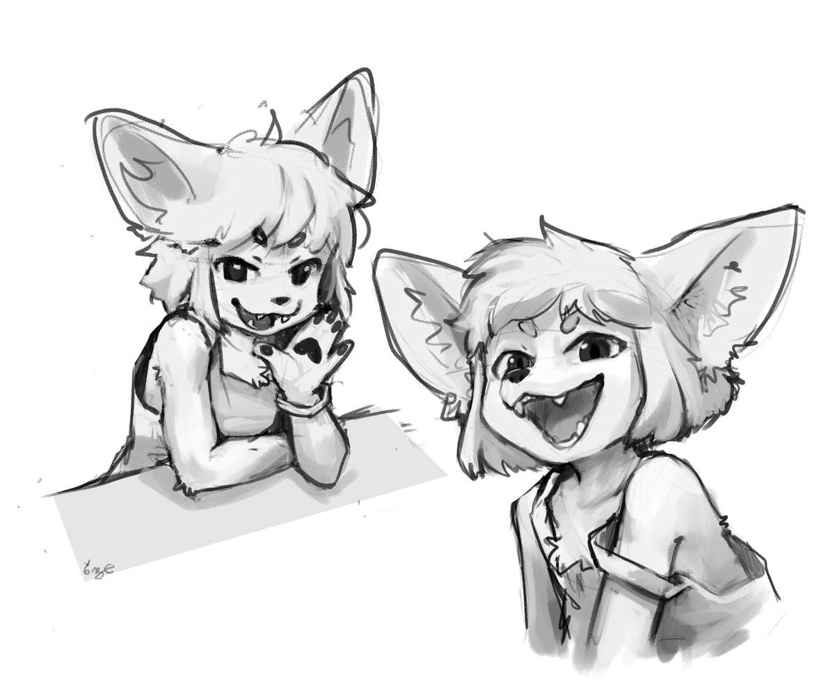 Vulpes_redfox's tweet photo. 사막여우 https://t.co/EWwXzgHNDS