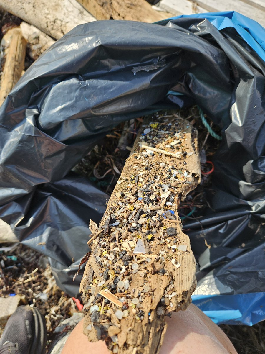 _CleanSea's tweet photo. On almost every cleanup when we look closely at some areas of the coastline, there are microplastics everywhere. Pieces of large plastics that break apart over time, which are eaten by marine animals and become part of the ecosystem. Is this the coastline we want? https://t.co/EukFIfsoAF