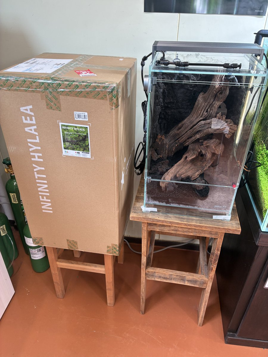 aquashop_bueno's tweet photo. 展示の60cm水槽、水草展で展示する為、筑波に旅立ちました。
空いたスペースには髙萩が製作中のLED STAR のインフィニティ・ハイラエアAQ-F30を。完成が楽しみですね!
もちろん、製品も販売しております。(税込79,800円)
#ledstar
#インフィニティハイラエア
#パルダリウム https://t.co/TRN7RR8Tw5