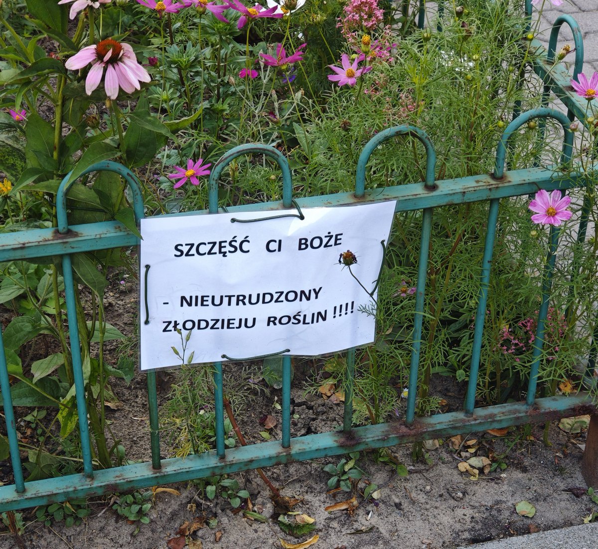 ola_labedz's tweet photo. Tak też bywa https://t.co/GHkuY9TGkF