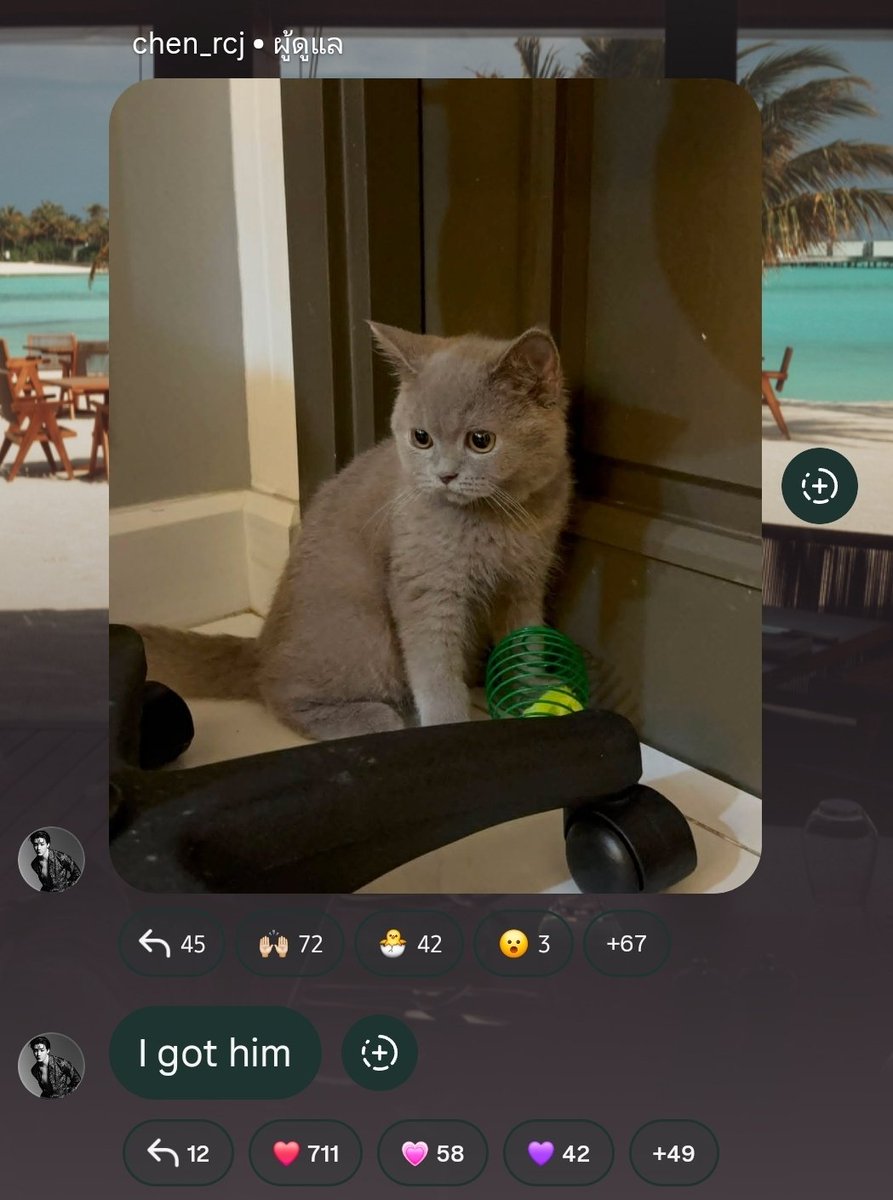JoongOfficialTH's tweet photo. ─◍─ 04.08.2026 Broadcast Update

📮 I got him. 🐱❤️

🗨 ; chen_rcj

@ChenRcj #จุงอาเชน #JoongArchen https://t.co/gwg1lujbg8