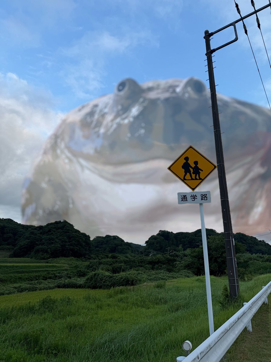 mushi_frog's tweet photo. ひぐらしが鳴いてる https://t.co/UKIKkqufj8