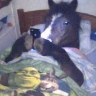 ehstraberri's tweet photo. #NewProfilePic https://t.co/519PaCiMQZ