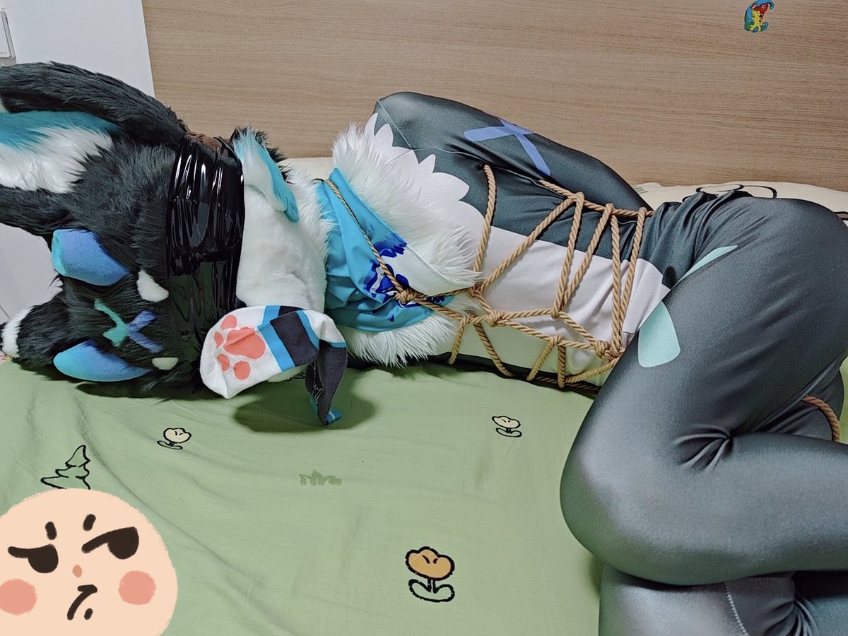 buding3525's tweet photo. “呜呜错了错了，再也不口嗨了...”

“唔...唔...”

#furry https://t.co/H8ihqN1LrM