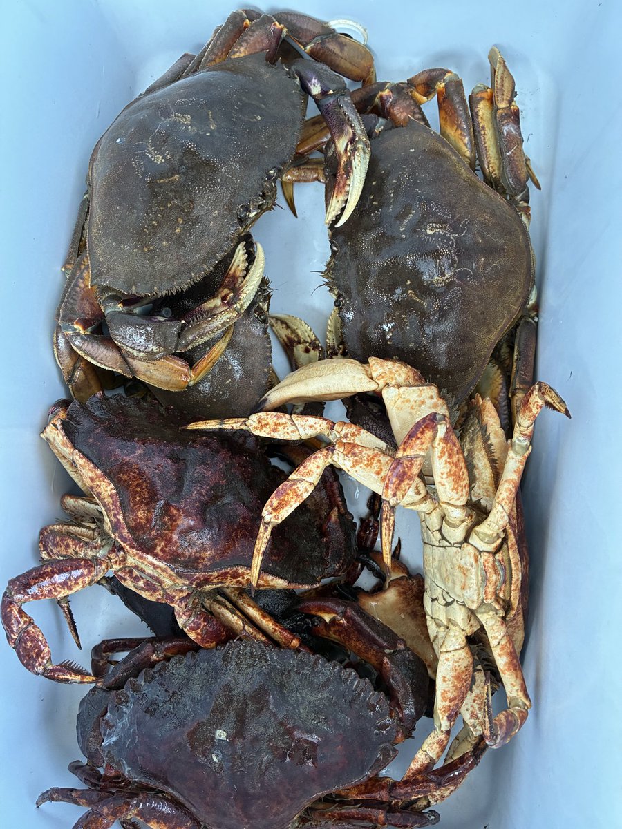 NWmx0119's tweet photo. Perfect weather for crabbing! https://t.co/SMuS3D0n6m